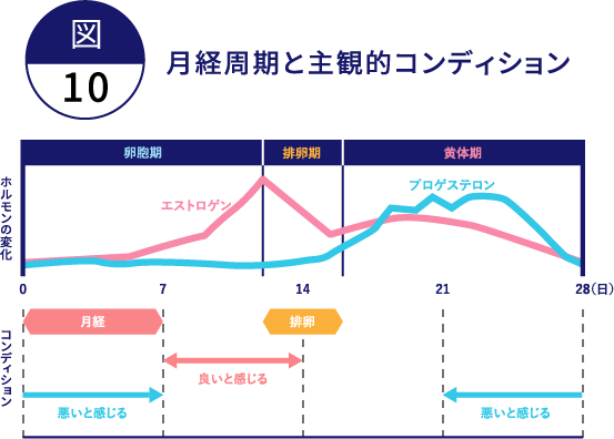 月経周期と主観的コンディション